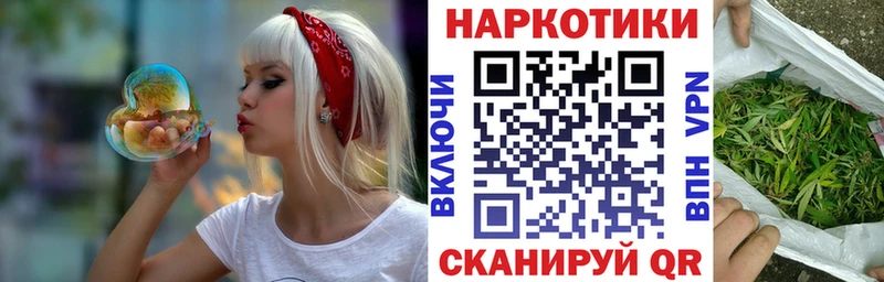 APVP Полесск
