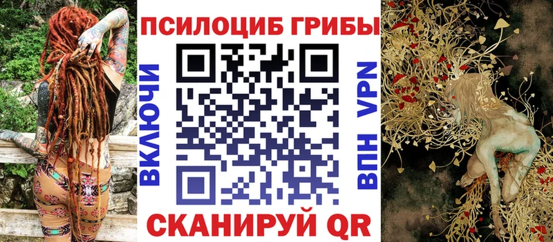 Купить где  Полесск  Галлюциногенные грибы мицелий 